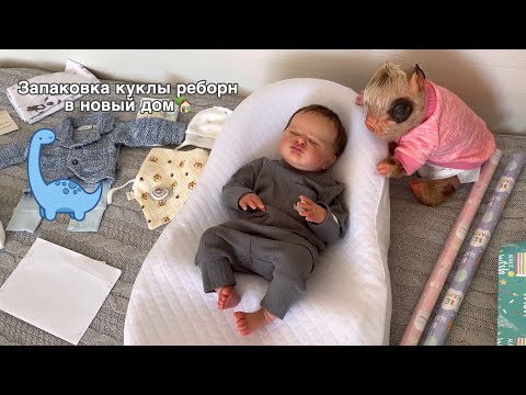Видео: ЗАПАКОВКА КУКЛЫ РЕБОРН В НОВЫЙ ДОМ!🏡❤️