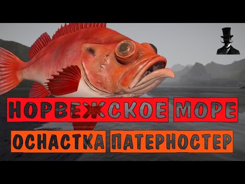 Видео: Норвежское море. Рыбалка на оснастку патерностер. Русская Рыбалка 4.