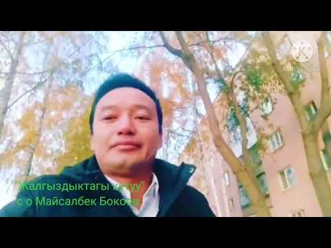Видео: "Жалгыздыктагы кутуу" с о Майсалбек Бокоев
