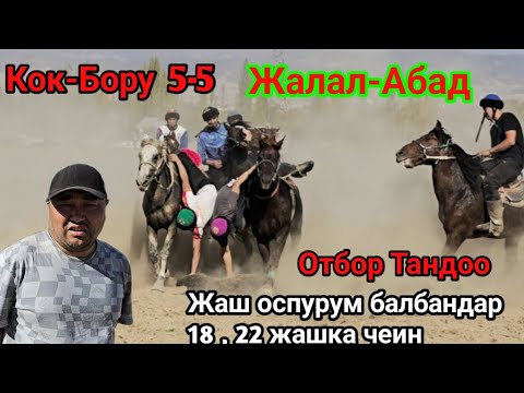 Видео: Кок-Бору 5-5  Улак Отбор Жалал-Абад 