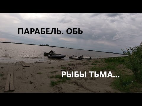 Видео: Парабель| Обь| Рыбы тьмаа...