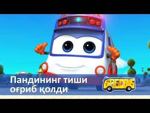 Видео: Қувноқ автобус - Серия 4.Пандининг тиши оғриб қолди - Онгни ўстирадиган мультфильмлар