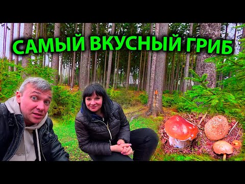 Видео: ДЕНЬ,КОТОРЫЙ ХОЧЕТСЯ  ПОВТОРИТЬ