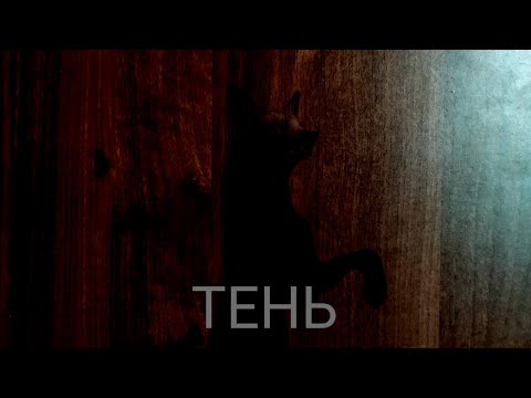 Видео: Страшилка WildCraft "Тень"