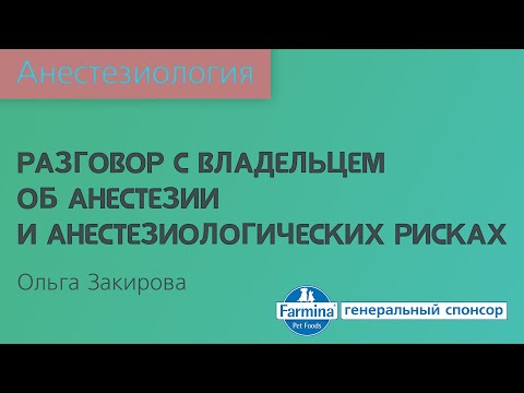 Видео: Разговор с владельцем об анестезии и анестезиологических рисках
