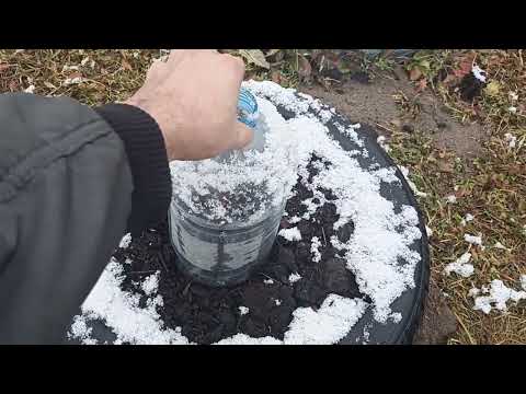Видео: 2 ноября 2025 выпал первый Снег, Заглушки профильной трубы Забора