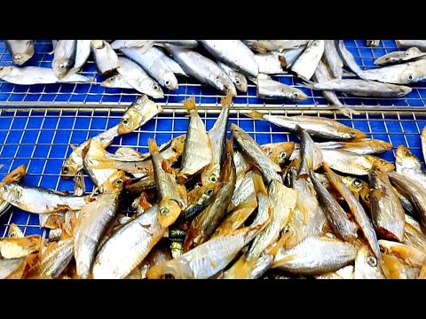 Видео: ТЮЛЬКА ХОЛОДНОГО КОПЧЕНИЯ, СУШËНО-ВЯЛЕНАЯ