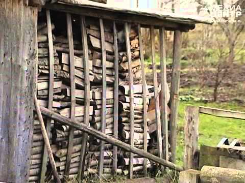 Видео: "Дорогой к людям": Светилки и Сямичи