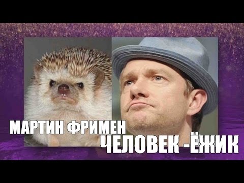 Видео: Мартин Фримен - Человек-Ёжик (RUS VO)