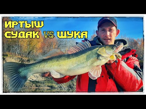 Видео: Рыбалка на Иртыше 2020  Судак и Щука на Джиг  Нашли трофейного судака  Щука на 11 кг