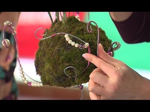 Видео: Простые и красивые способы пересадки цветов - Все буде добре - Выпуск 357 - 17.03.14