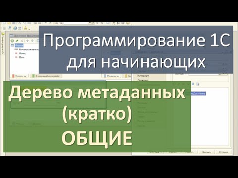 Видео: Дерево метаданных (кратко). ОБЩИЕ