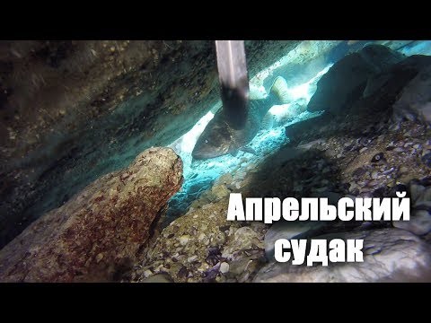 Видео: Апрельский судак