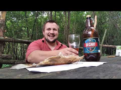 Видео: Пиво десант 1,75 под  таранку