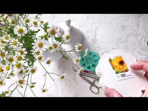 Видео: Инструменты для Видео мастер-класса «Ромашки»