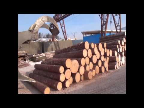 Видео: действующее производство Леналессервис