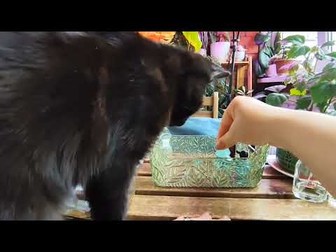 Видео: Парфюмерная корзинка на холодную осень 🍁☔🍁