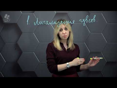 Видео: 3. Эмоциональный интеллект.