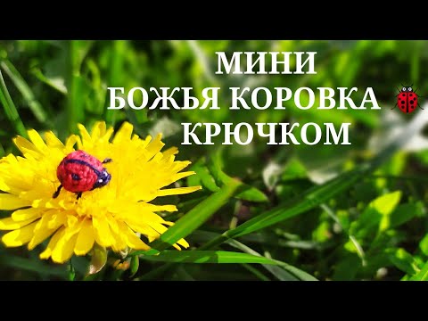 Видео: МАЛЕНЬКАЯ БОЖЬЯ КОРОВКА КРЮЧКОМ МАСТЕР КЛАСС / ВЯЗАНАЯ БОЖЬЯ КОРОВКА КРЮЧКОМ АМИГУРУМИ