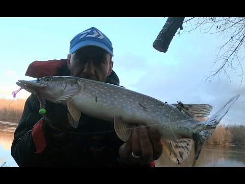 Видео: Щука на Джиг в Городе  ! Зимний Спиннинг ! р. Десна