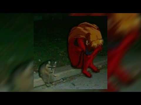 Видео: Face - Лиза |speed up|