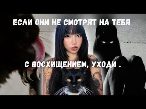 Видео: Пробуди энергию Чёрной Кошки — и жизнь сама побежит за тобой | Mae Alice Suzuki (русская озвучка)