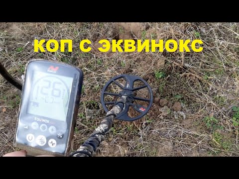 Видео: ПОИСК СЕЛИЩА С МЕТАЛЛОИСКАТЕЛЕМ MINELAB EQUINOX 600