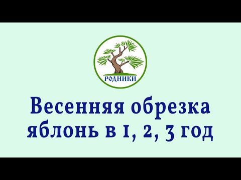 Видео: Обрезка молодых яблонь в 1, 2, 3 год.