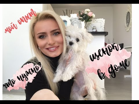 Видео: ЩЕНОК В ДОМЕ! ЧТО НУЖНО? МОЙ ОПЫТ