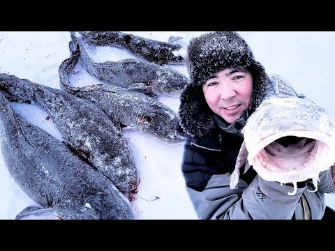 Видео: ПРОВЕРКА ПЕРЕМЁТА! НОВЫЙ РЕКОРД ПО НАЛИМУ!!!