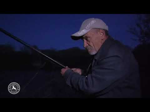 Видео: 🎣Рибарски приказни  „Риболов на сом 2“ #ribolov #fishing #prikazni   #ribarski #makedonski #риболов