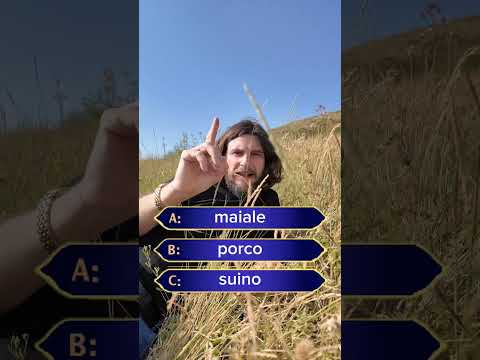 Видео: Кто хочет стать миллионером