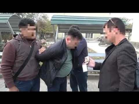 Видео: УКМК Ош шаарында опузалап акча талап кылган жактоочуну кармады