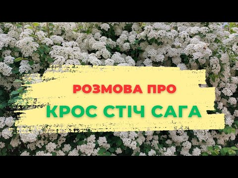 Видео: Розмова про Crossstitch Saga ⚡️Що робити тепер з електронними схемами вишивки?