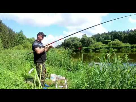 Видео: Ловля в проводку.Монтаж.Болонская снасть.