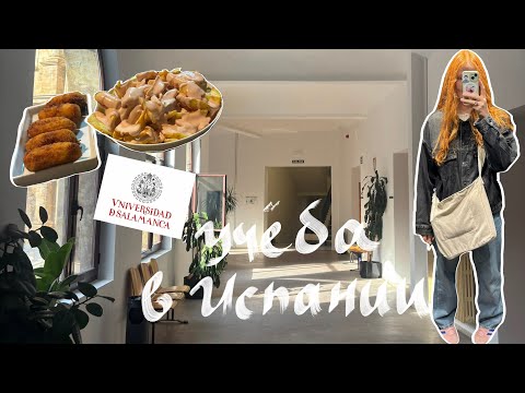 Видео: будни студента-переводчика в испанском универе