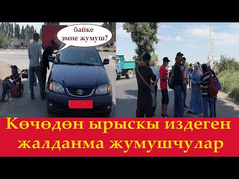 Видео: Жалданып иштеп жан баккандар