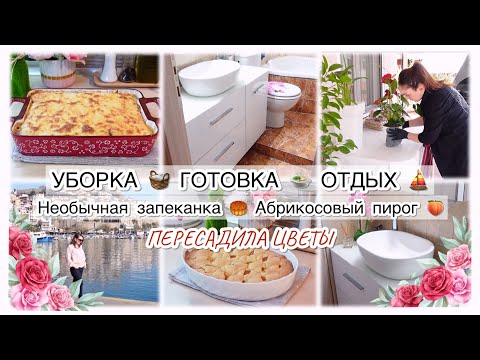 Видео: 🌷УБОРКА 🧺 ГОТОВКА 🍲 ОТДЫХ ⛵️ ПЕРЕСАДИЛА ЦВЕТЫ 🌷