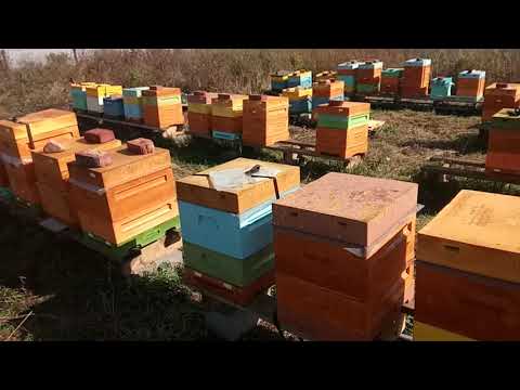 Видео: Подготовка к зимовке в ппу ульях на воле Верхняя вентиляция