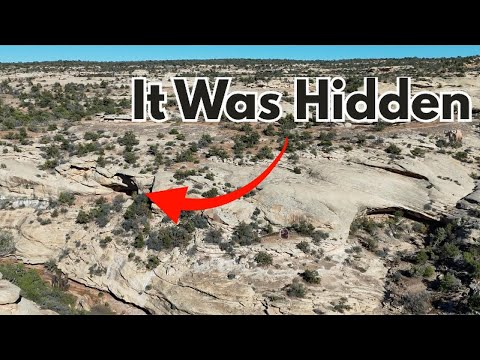 Видео: Древние каменные ступени привели меня к чему-то, чего я не ожидал.