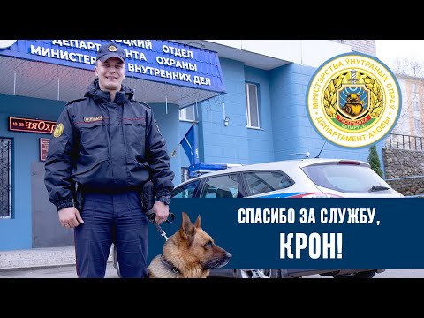 Видео: Милиционер-кинолог Новополоцкого отдела Департамента охраны Александр Скороход и его пес Крон