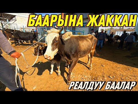 Видео: БАЗАРДАН МАЛДАР АГЫП ЧЫКТЫГО #байтв 