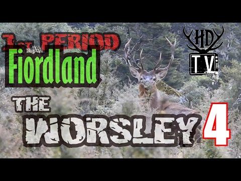 Видео: Приключение по охоте на вапити в Фьордленде, часть 4