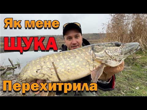 Видео: ХТО КОГО ? Ловля ЩУКИ в листопаді
