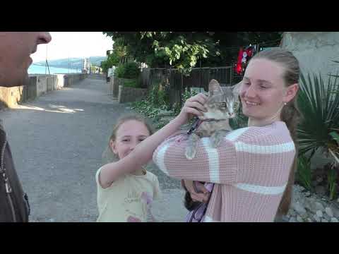 Видео: ВЛОГ.наш Путь на Море.Едем в Отпуск в Сочи на машине.