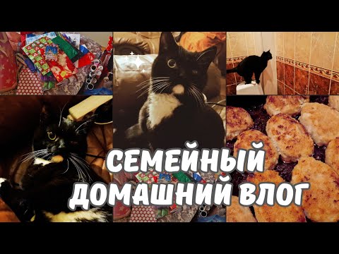 Видео: Домашний семейный влог.Кот Маркиз вернулся домой.Расхламление шкафа.Мне снова не везет. Таллинн влог
