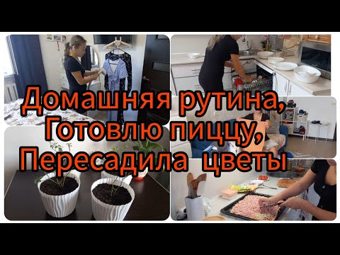 Видео: Домашняя рутина,  готовлю  пиццу,  пересадка цветов