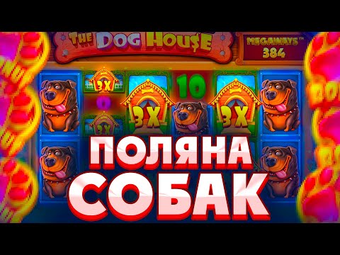 Видео: ПОЙМАЛ БОНУС ПО СТАВКЕ 1200Р СО СПИНА В DOG HOUSE MEGAWAYS/ ЗАКРЫЛ ПОЛЯНУ РОЗОВЫХ СОБАК!