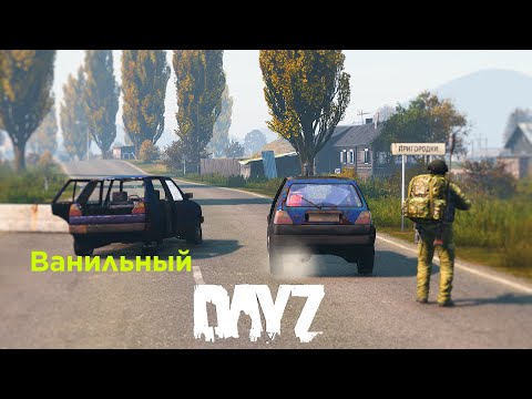 Видео: ванильный Dayz