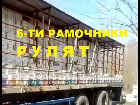 Видео: 6ти  рамочники рулят осмотр пасеки на колёсах (6 frame steer apiary remote inspection on wheels)